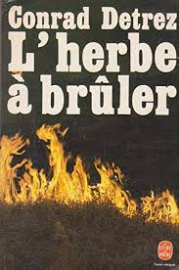 l' herbe à brûler